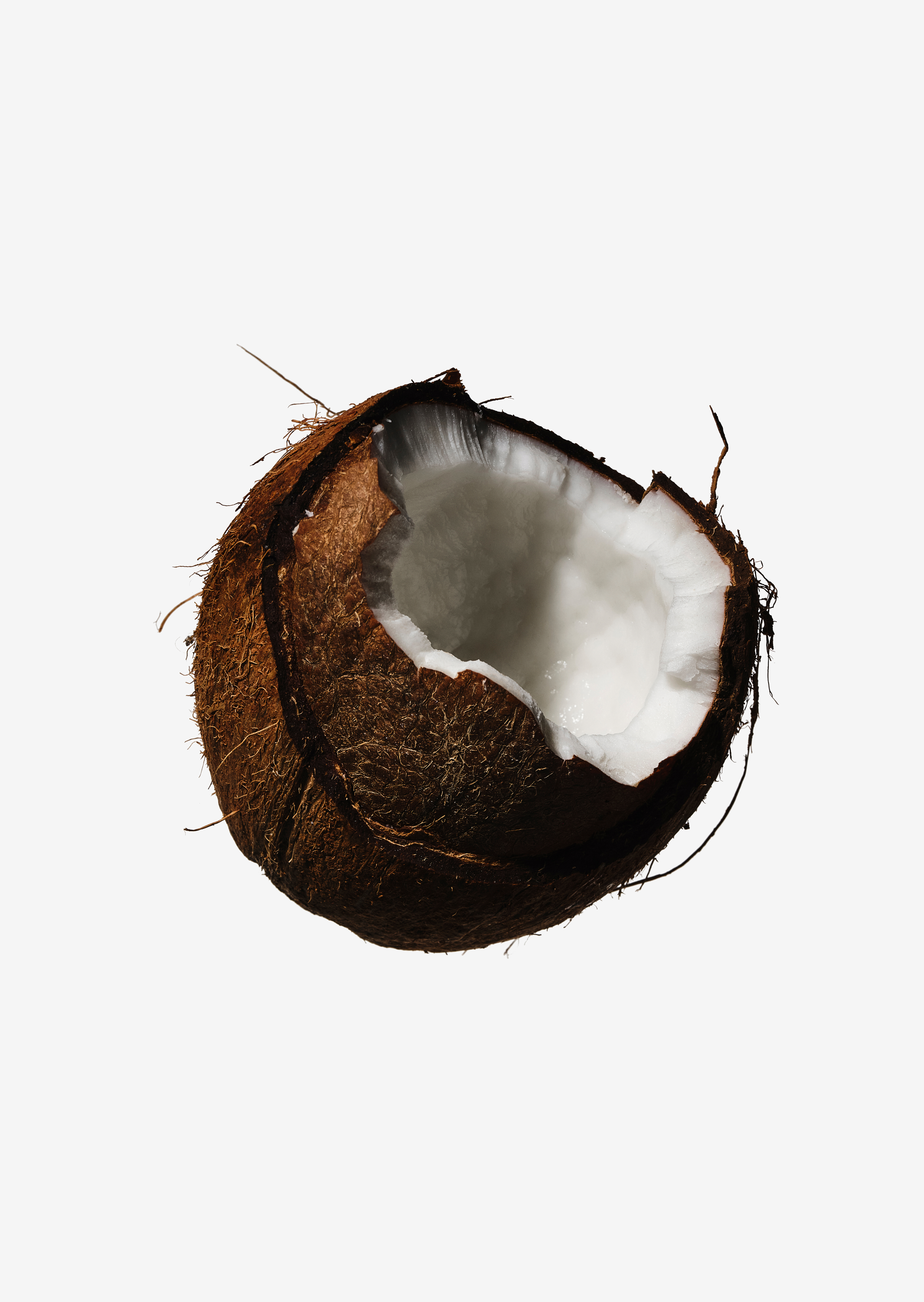 Coconut