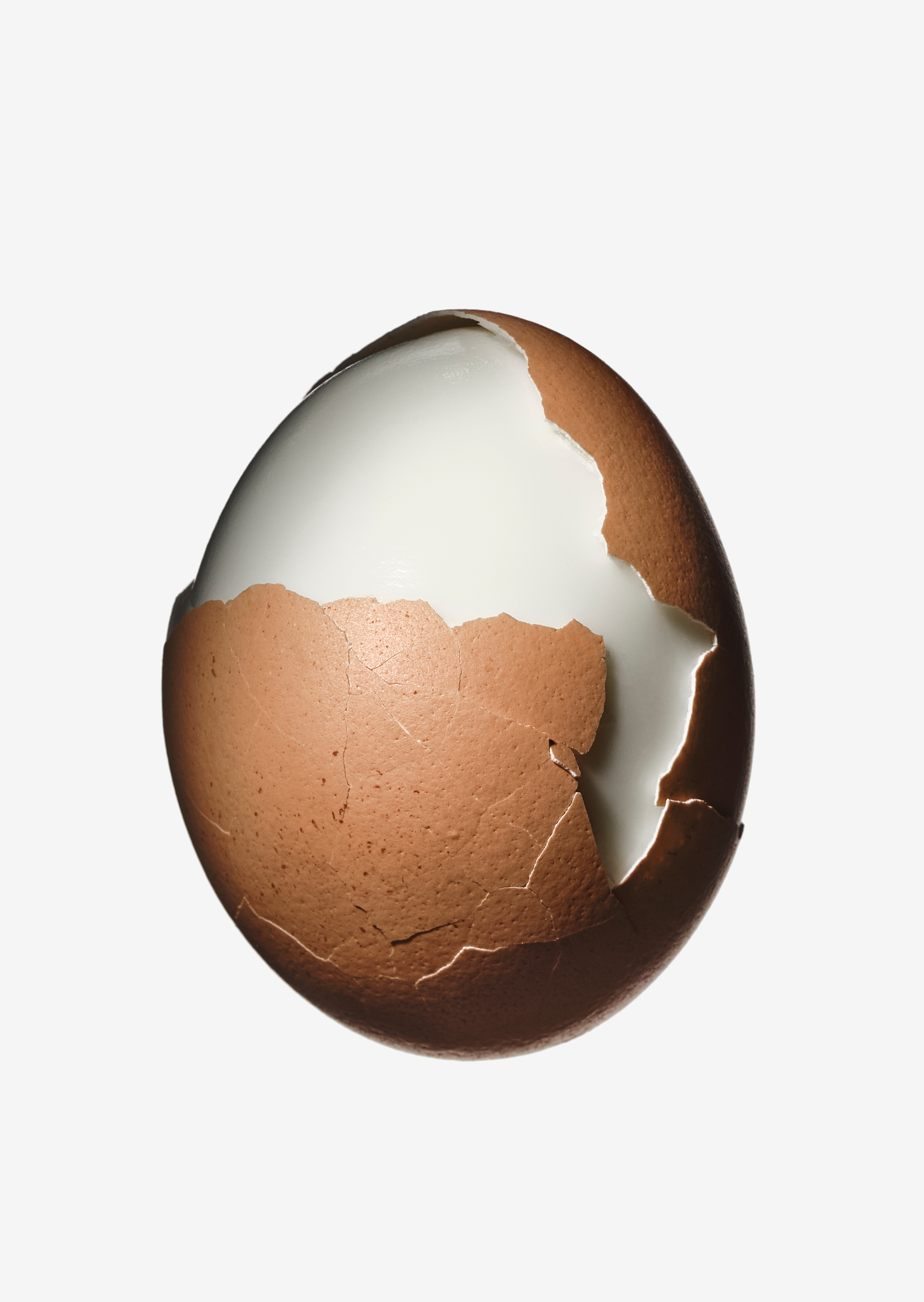Egg