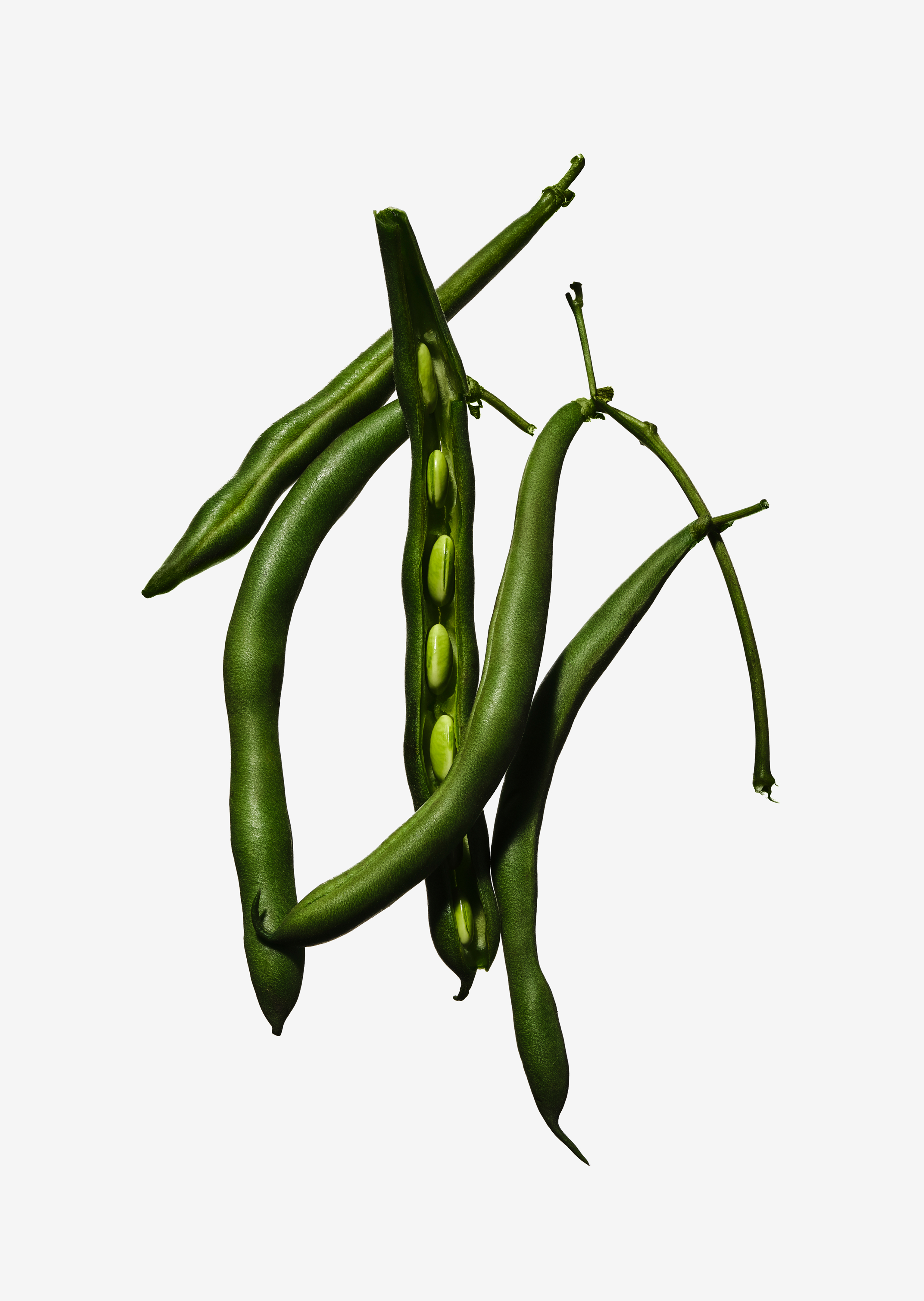 Green Bean