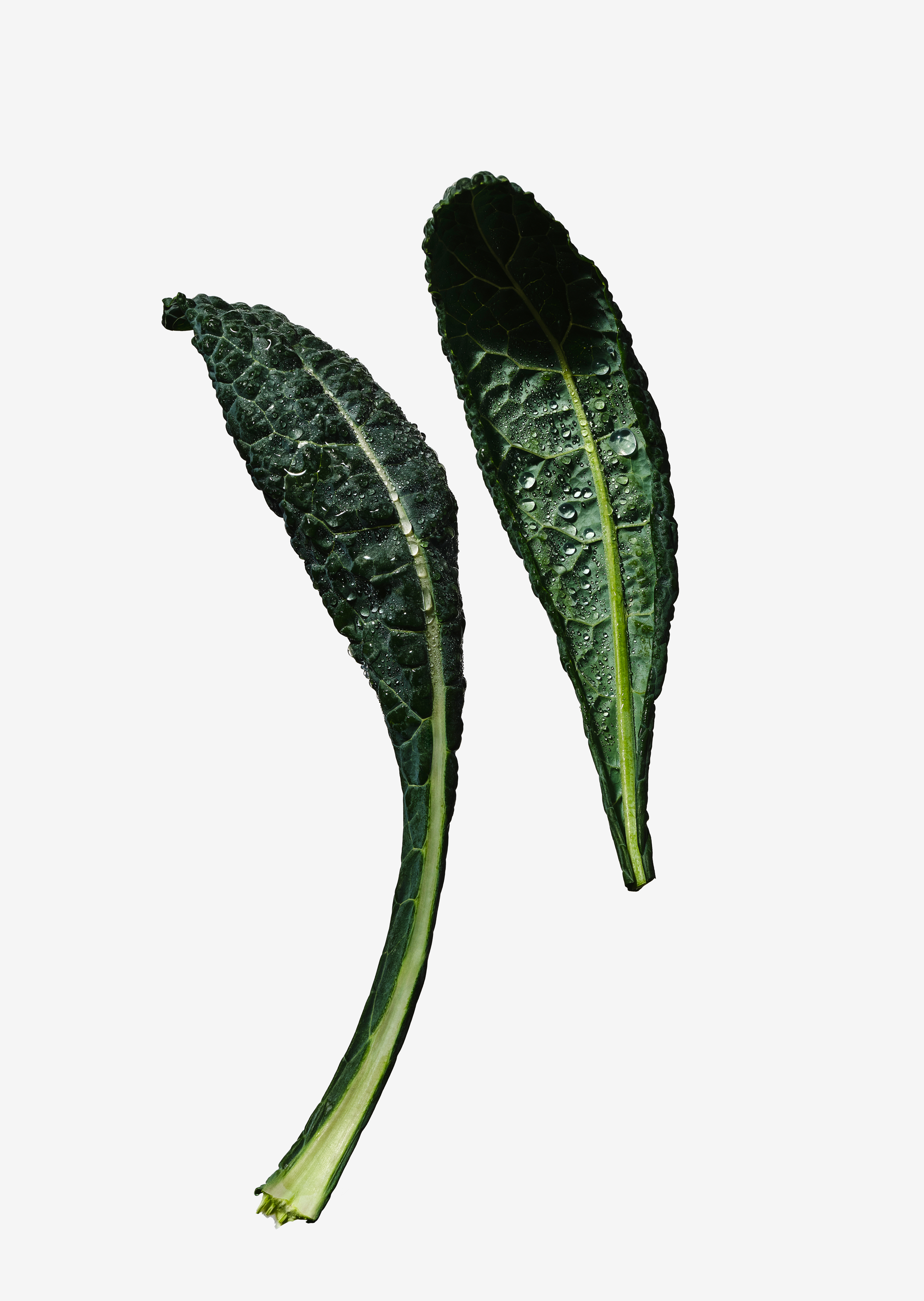 Kale