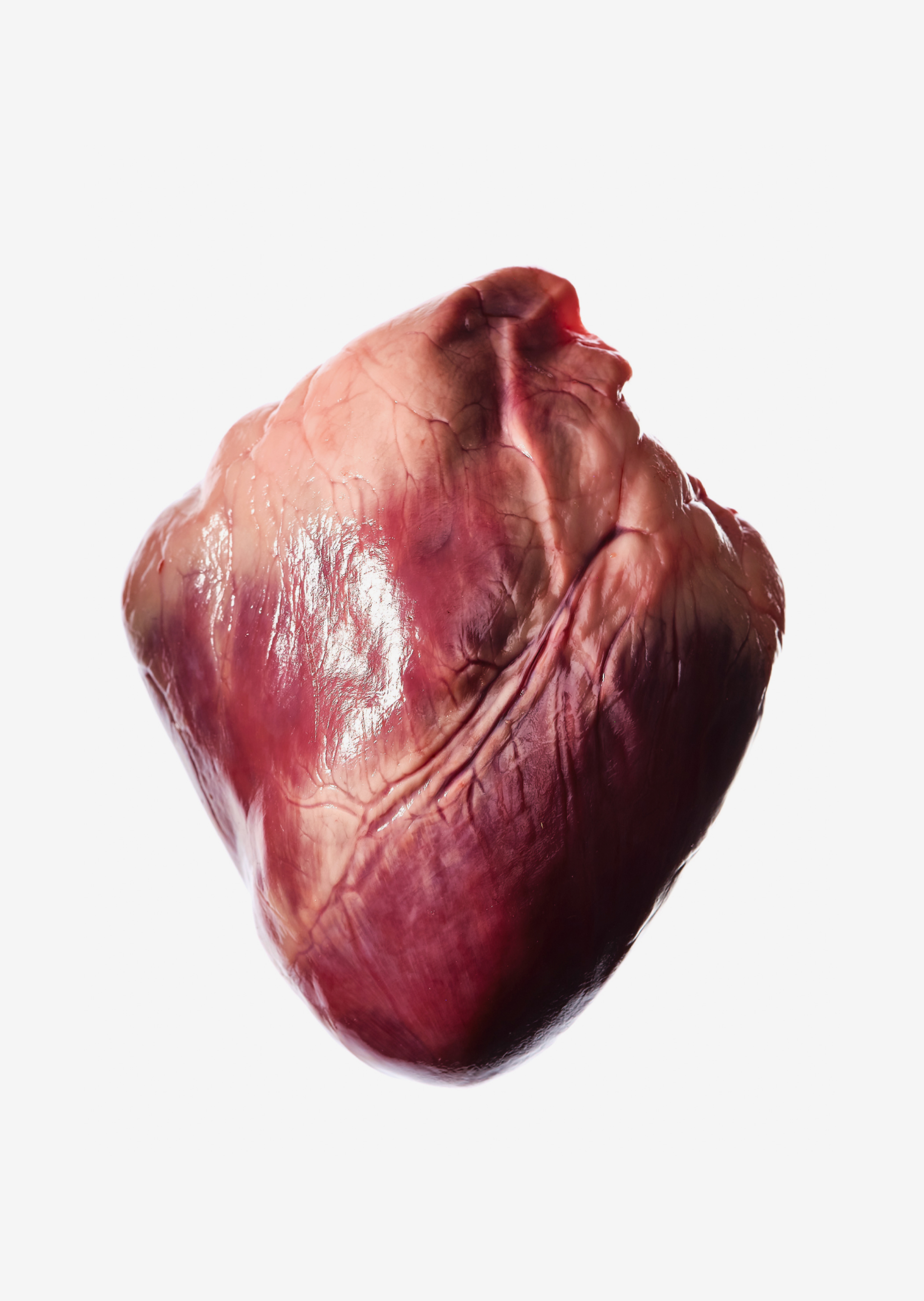 USDA Lamb Heart