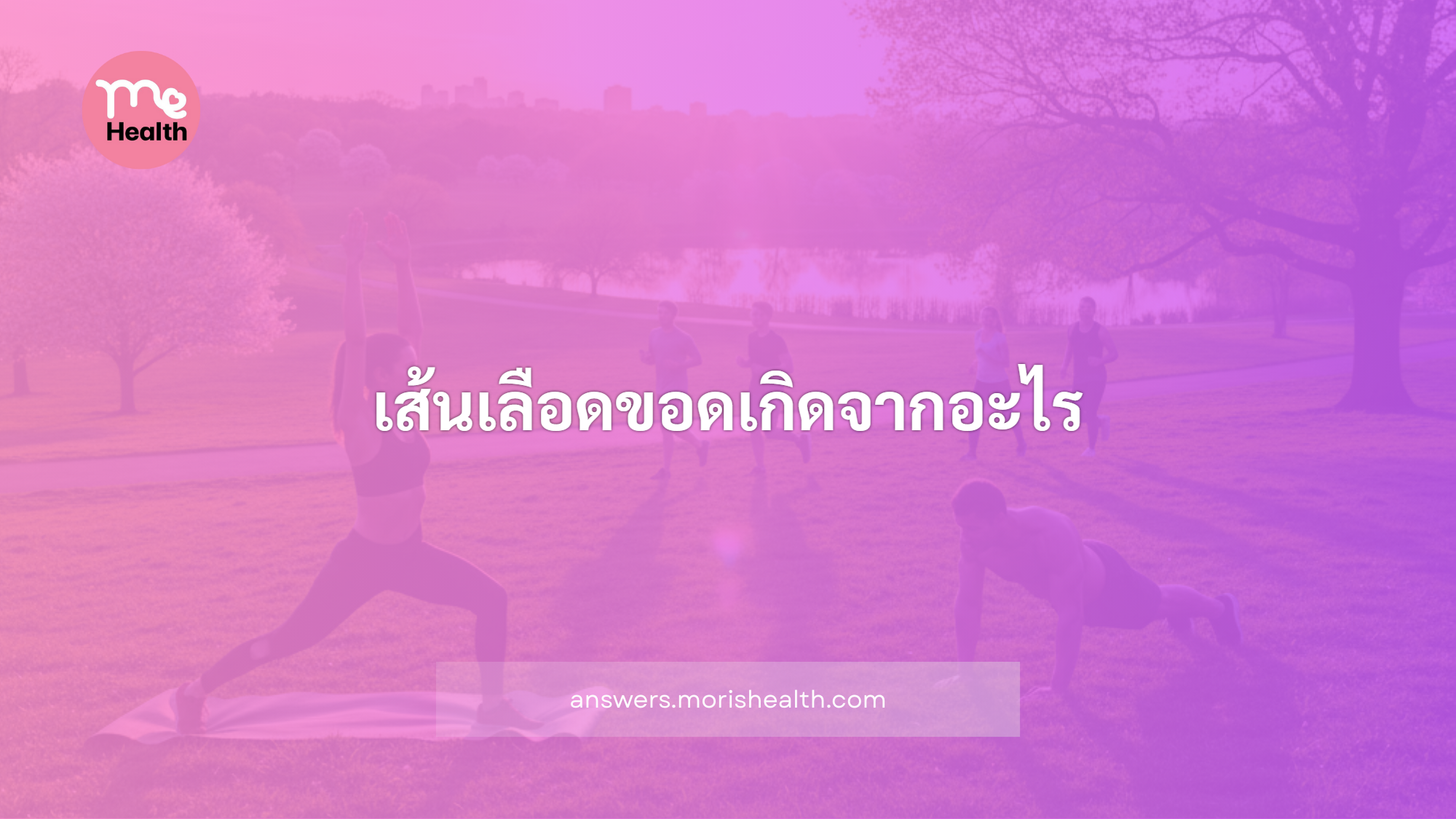 เส้นเลือดขอดเกิดจากอะไร