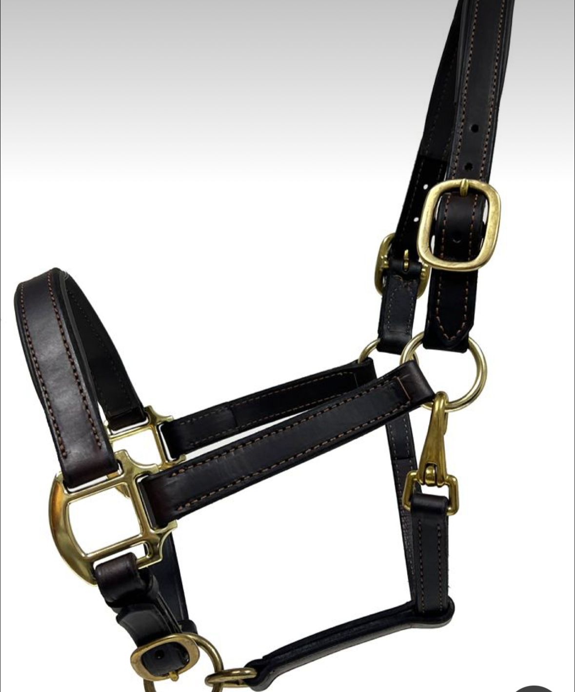 Equestrian