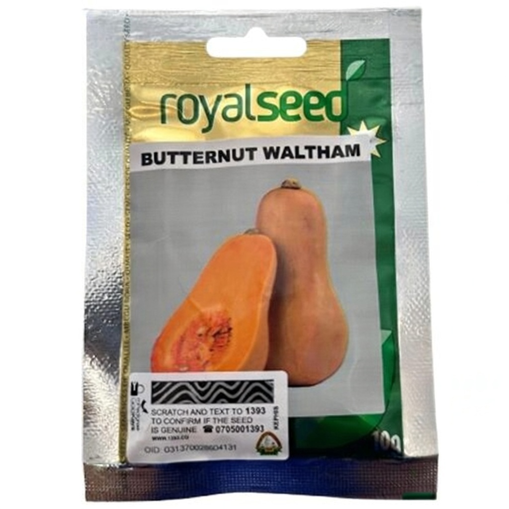 Squash Waltham Butternut 50gms