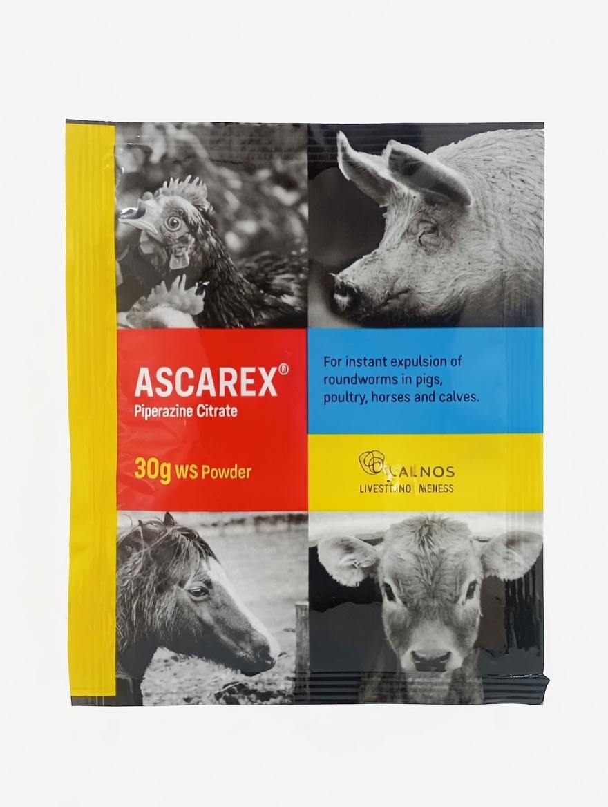 Buy ASCAREX 30G. online at Mel-Agri Animal Health