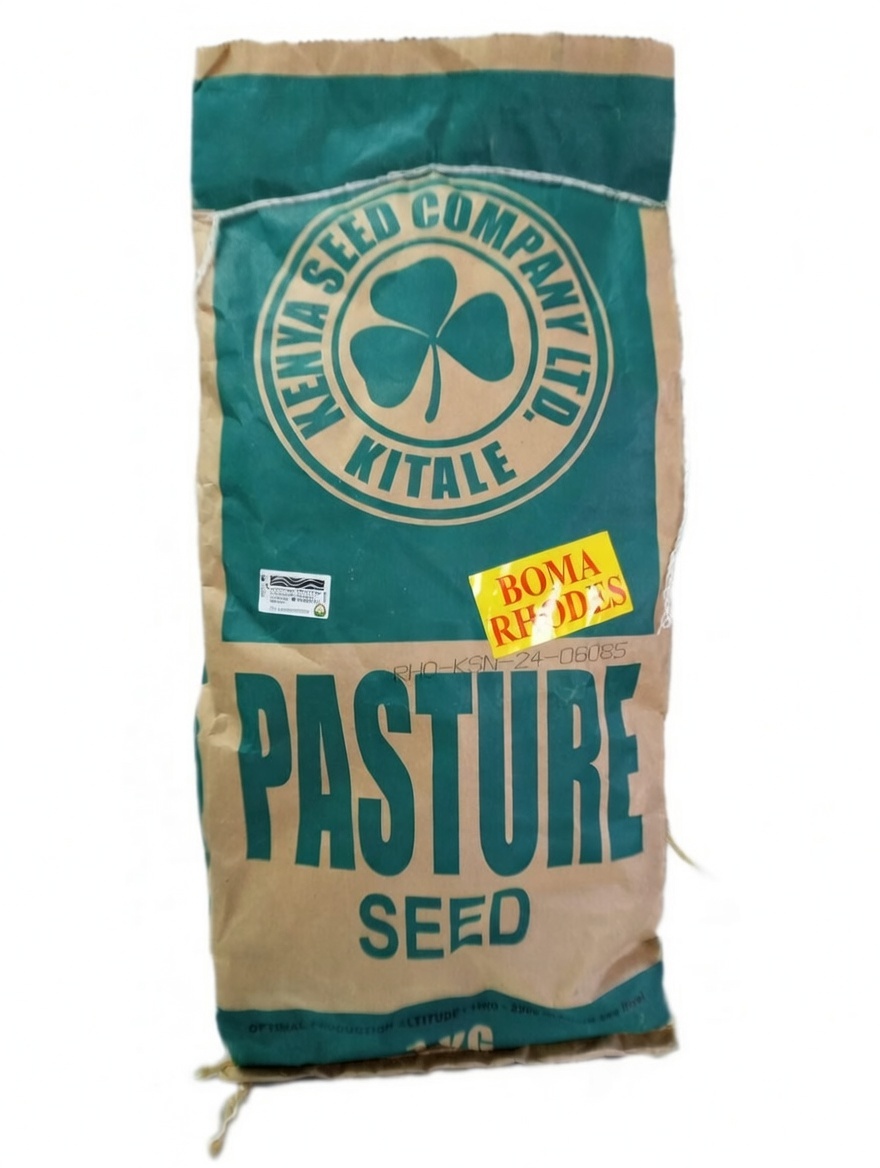 Buy Boma Rhodes Grass Seed online at Mel-Agri Seeds