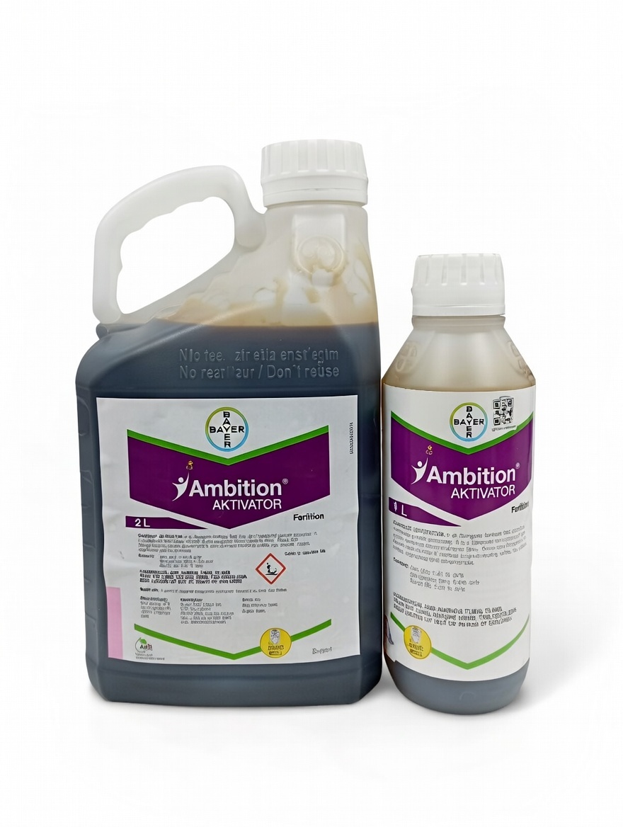 Ambition Aktivator Image 1