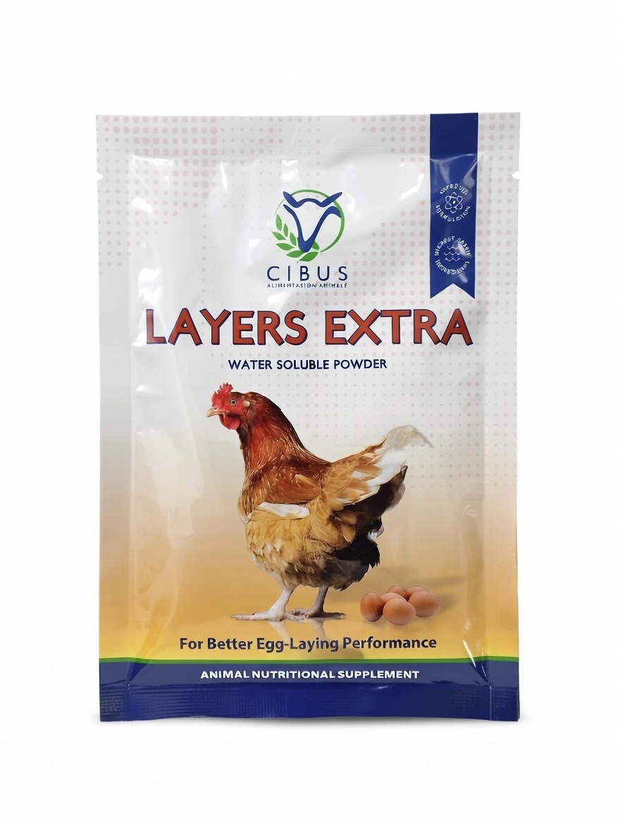 Buy Layers Xtra WSP (CIBUS) online at Mel-Agri Animal Health