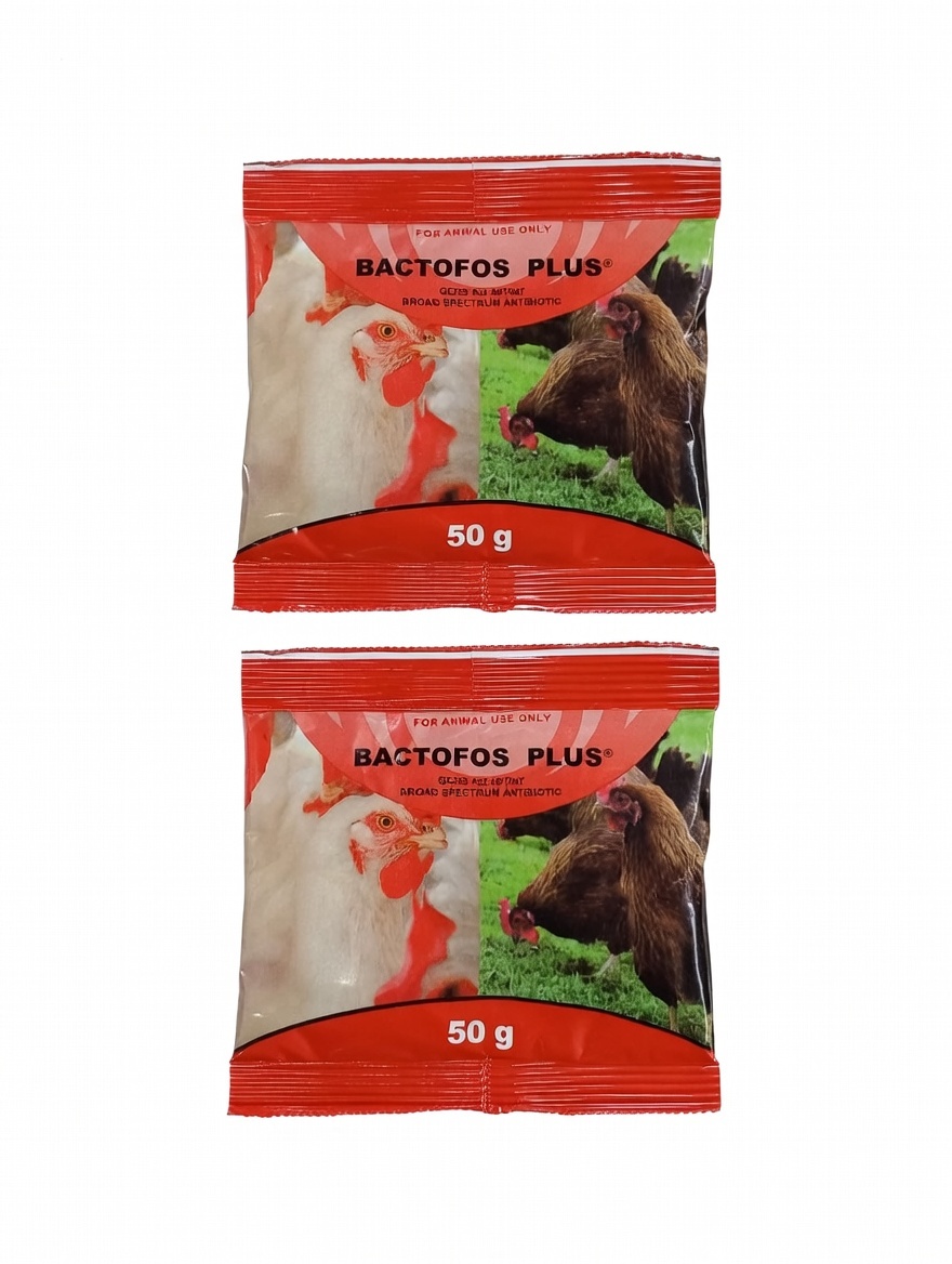 Buy Bactofos Plus online at Mel-Agri Animal Health