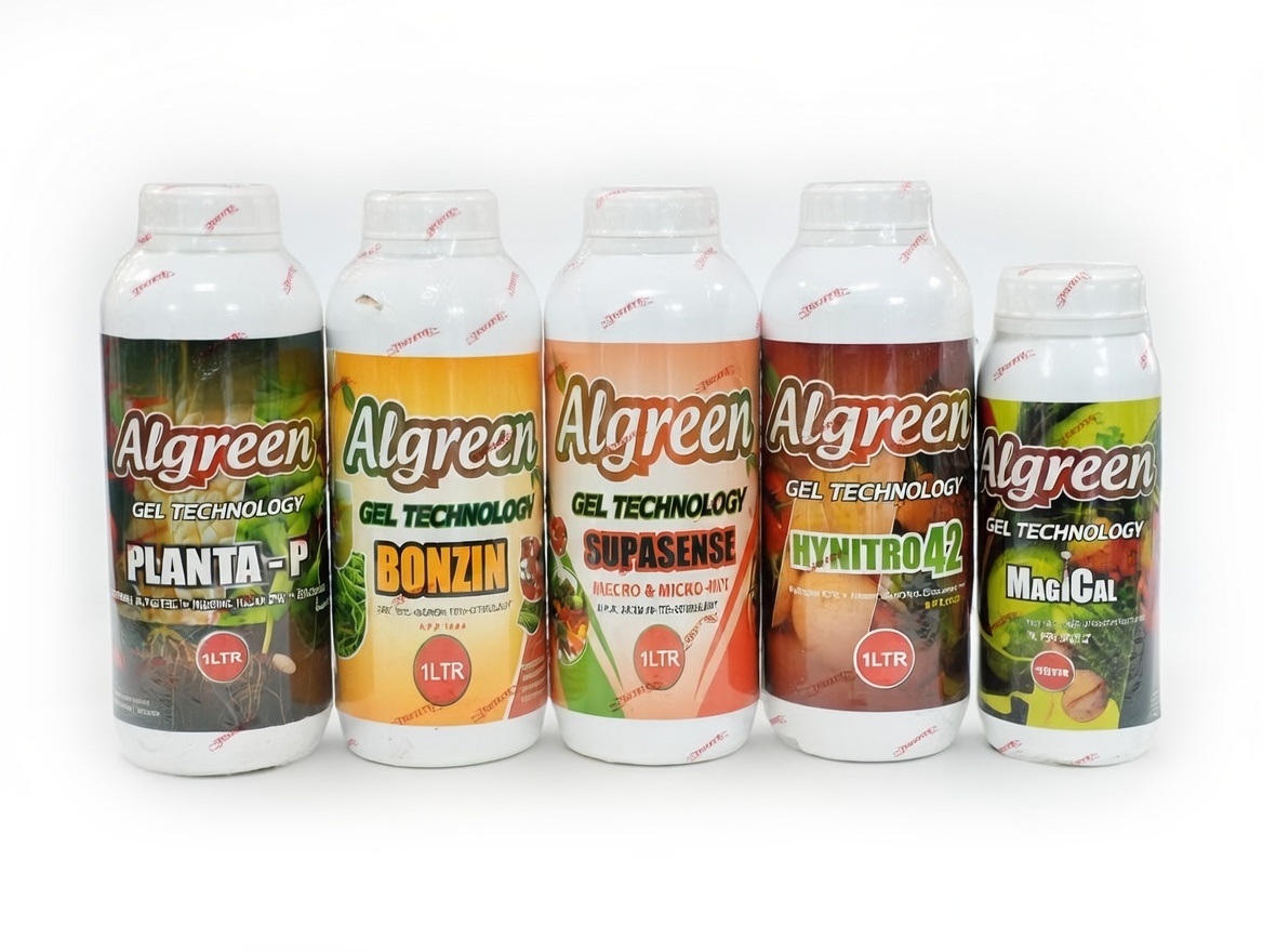 Algreen Magical