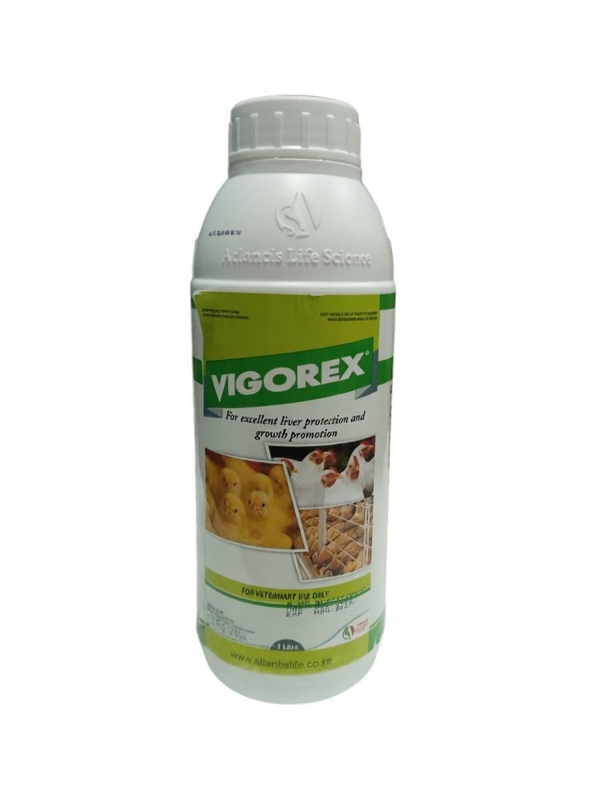 Buy Vigorex online at Mel-Agri Animal Health