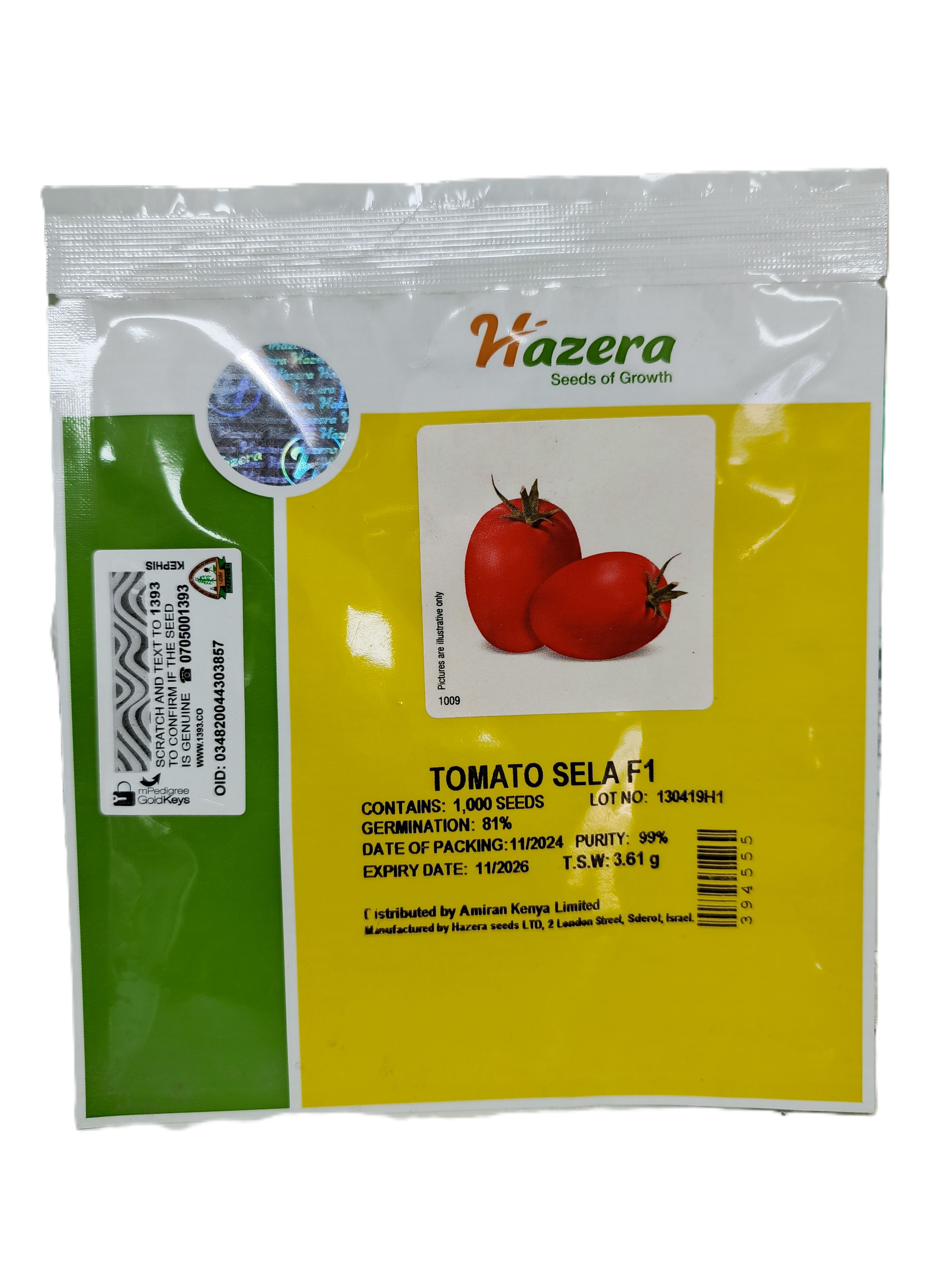 Buy Hazera Sela F1 Tomato Seeds online at Mel-Agri Seeds