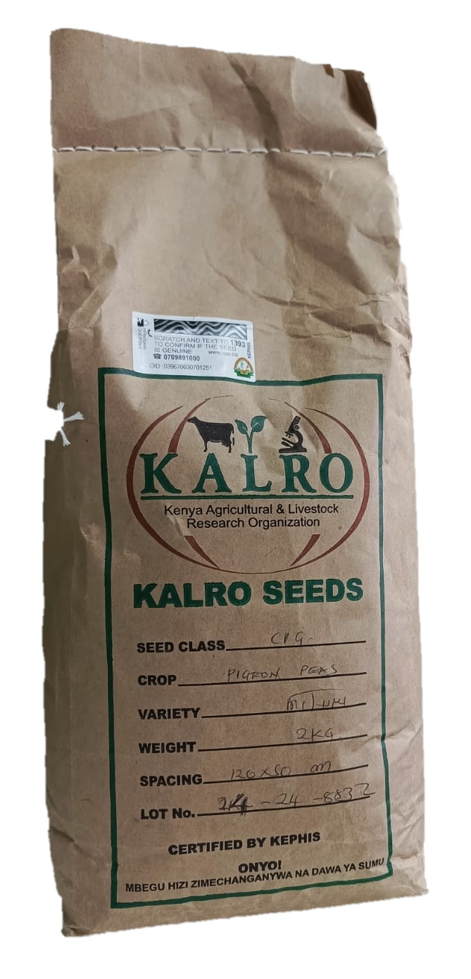 Pigeon Peas ( Mbaazi) 2kg - Kenya Agricultural & Livestock Research Organization (KALRO) Seeds in Kenya | Mel-Agri