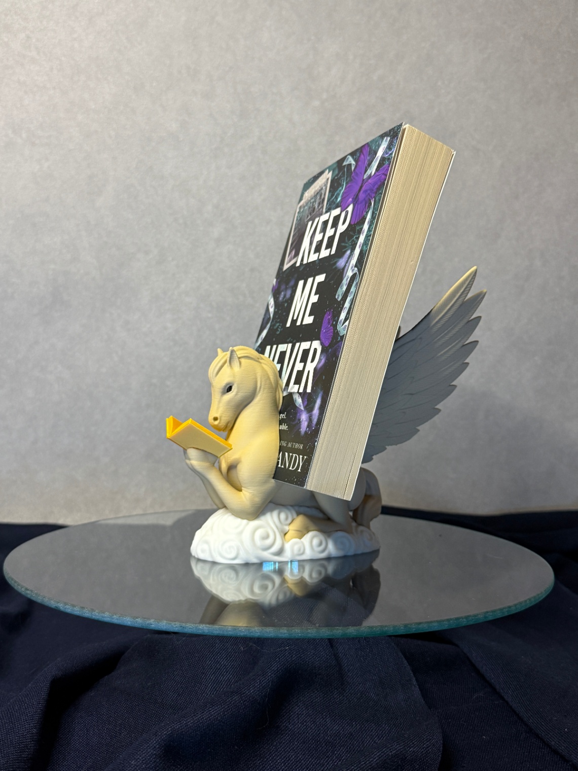 Knygos (skaityklės) laikiklis „Pegasus“