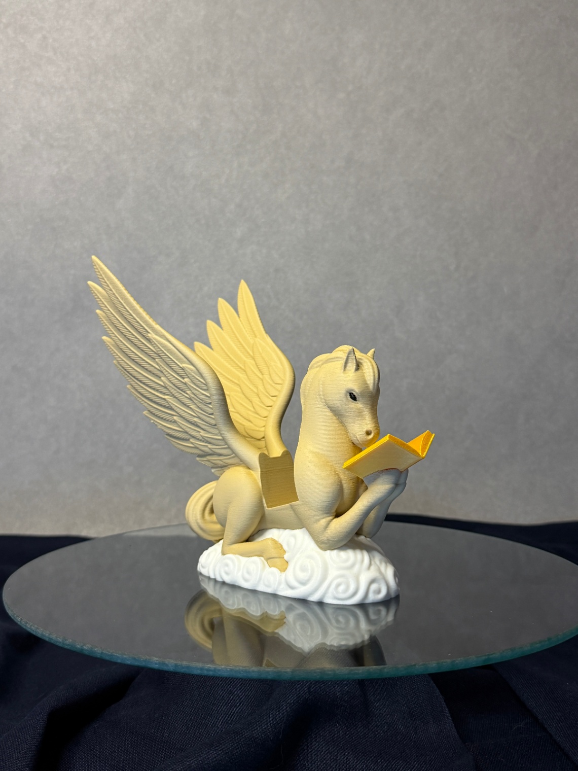 Knygos (skaityklės) laikiklis „Pegasus“ - 2
