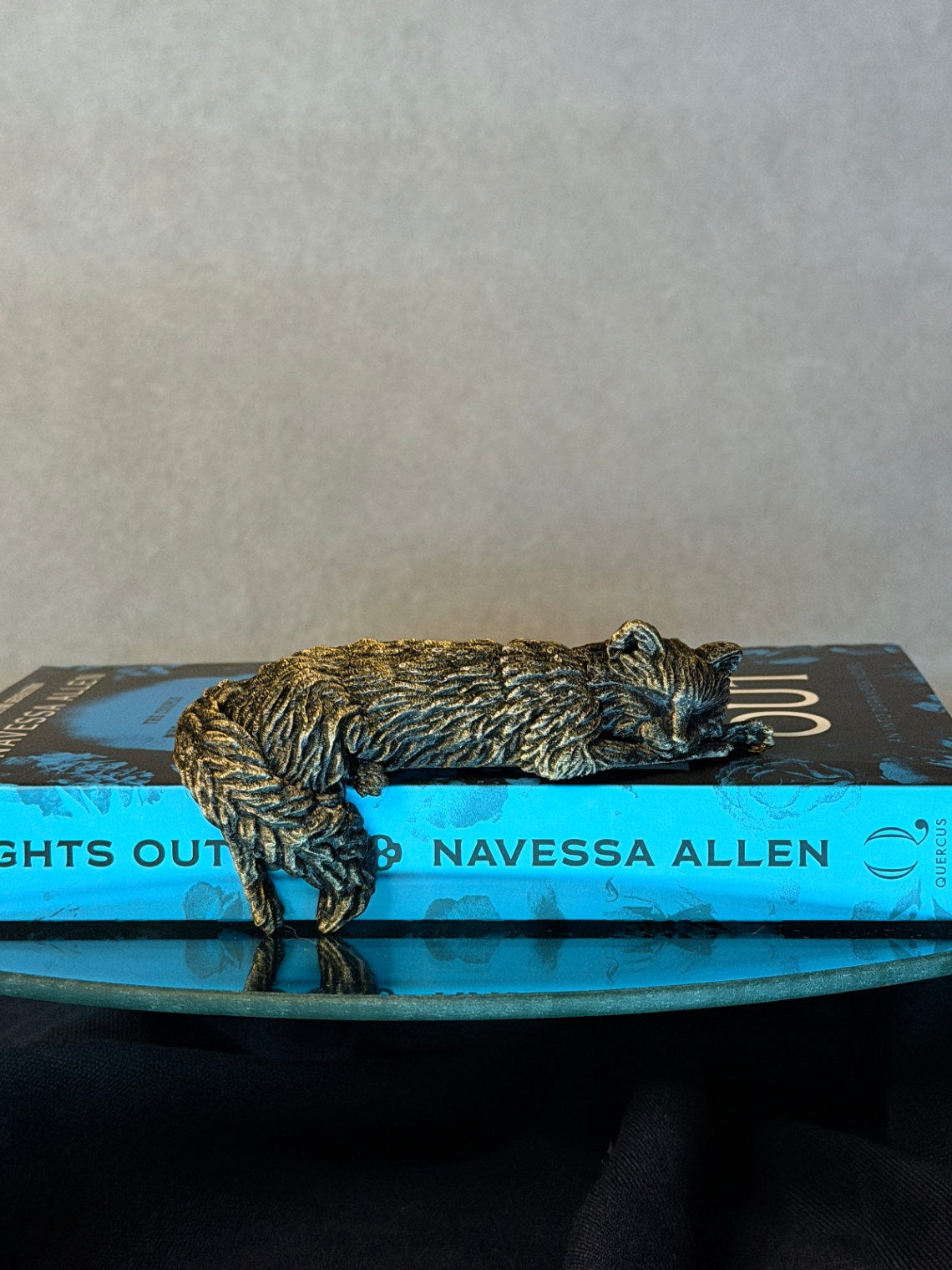 Dekoracija „Sleeping Cat on the Shelf“ - 2