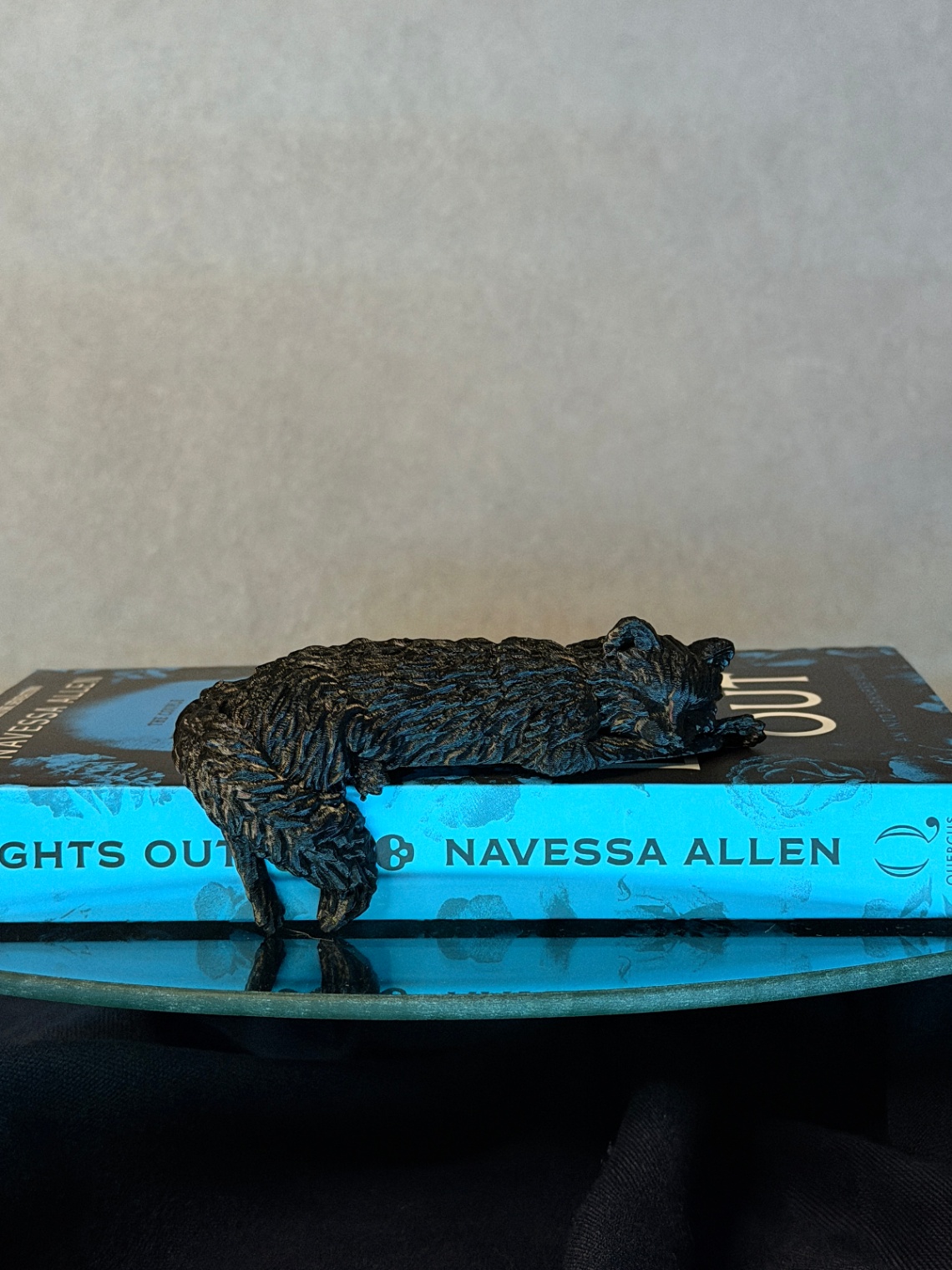 Dekoracija „Sleeping Cat on the Shelf“ - 3