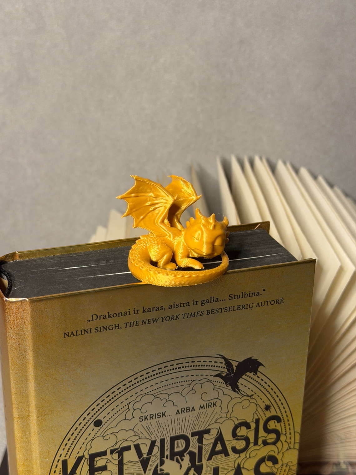Skirtukas „Sleeping Little Dragon“