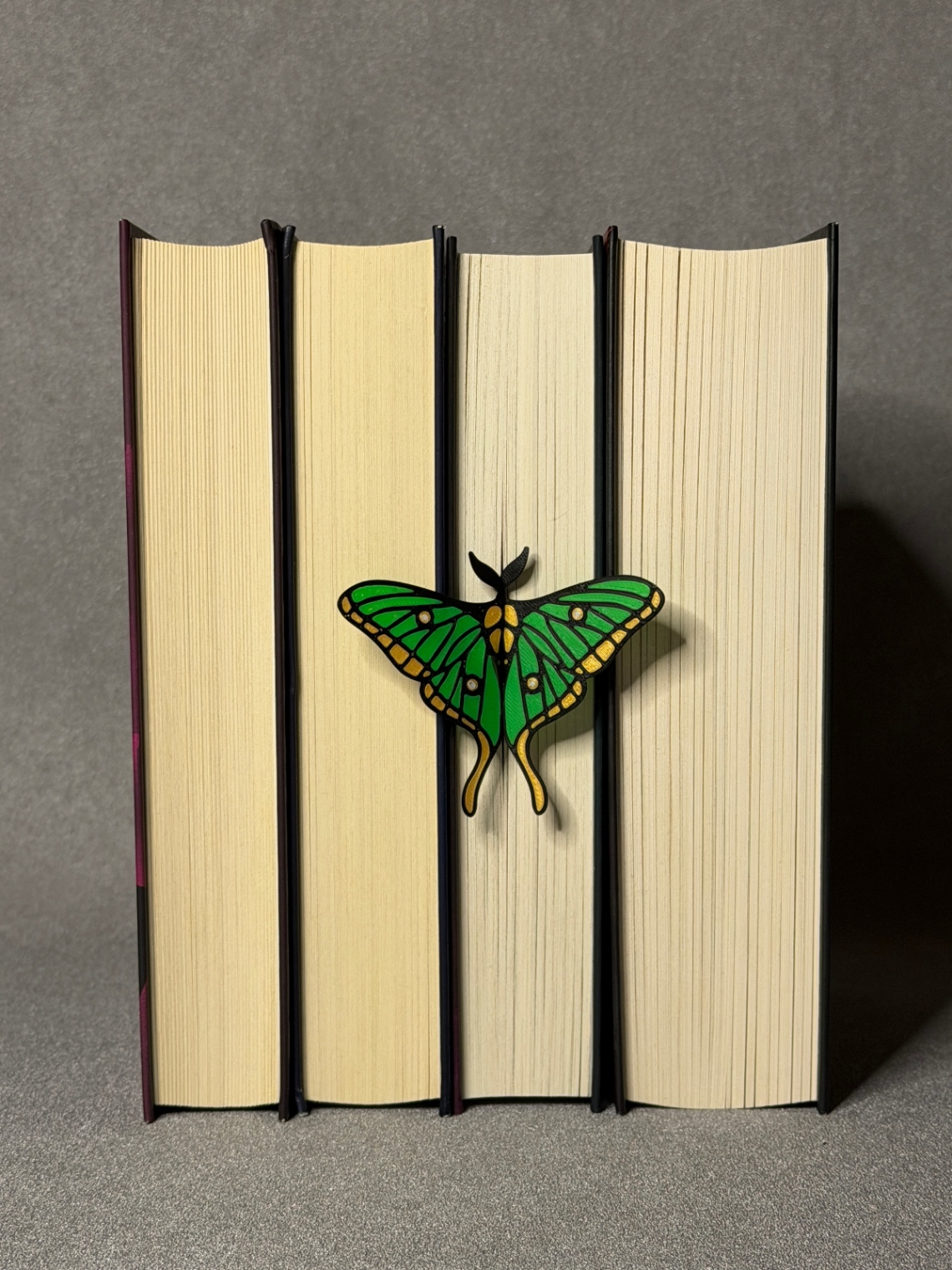 Padidinti nuotrauką Skirtukas „Spanish Moon Moth“