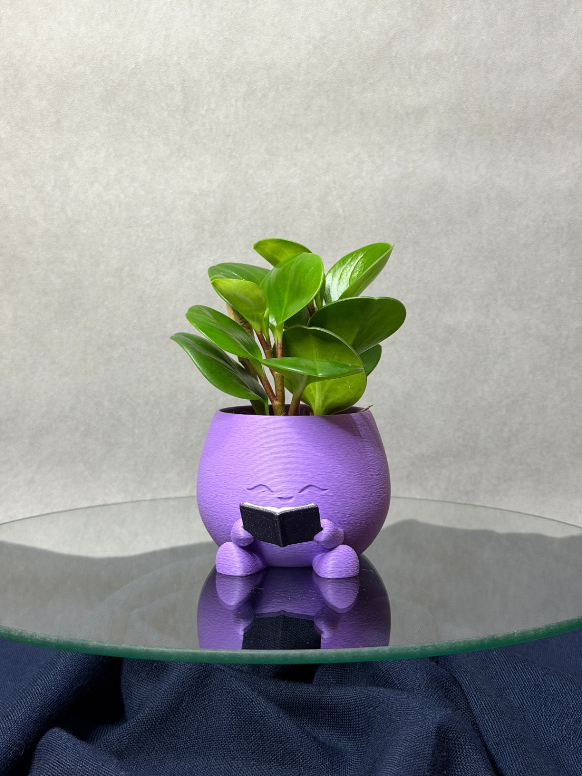 Vazonas „Mini Reader“
