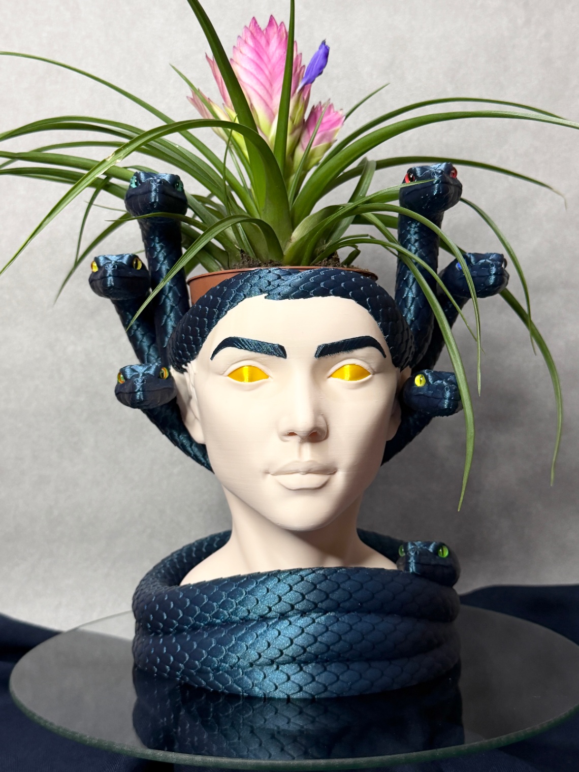 Vazonas „Medusa“