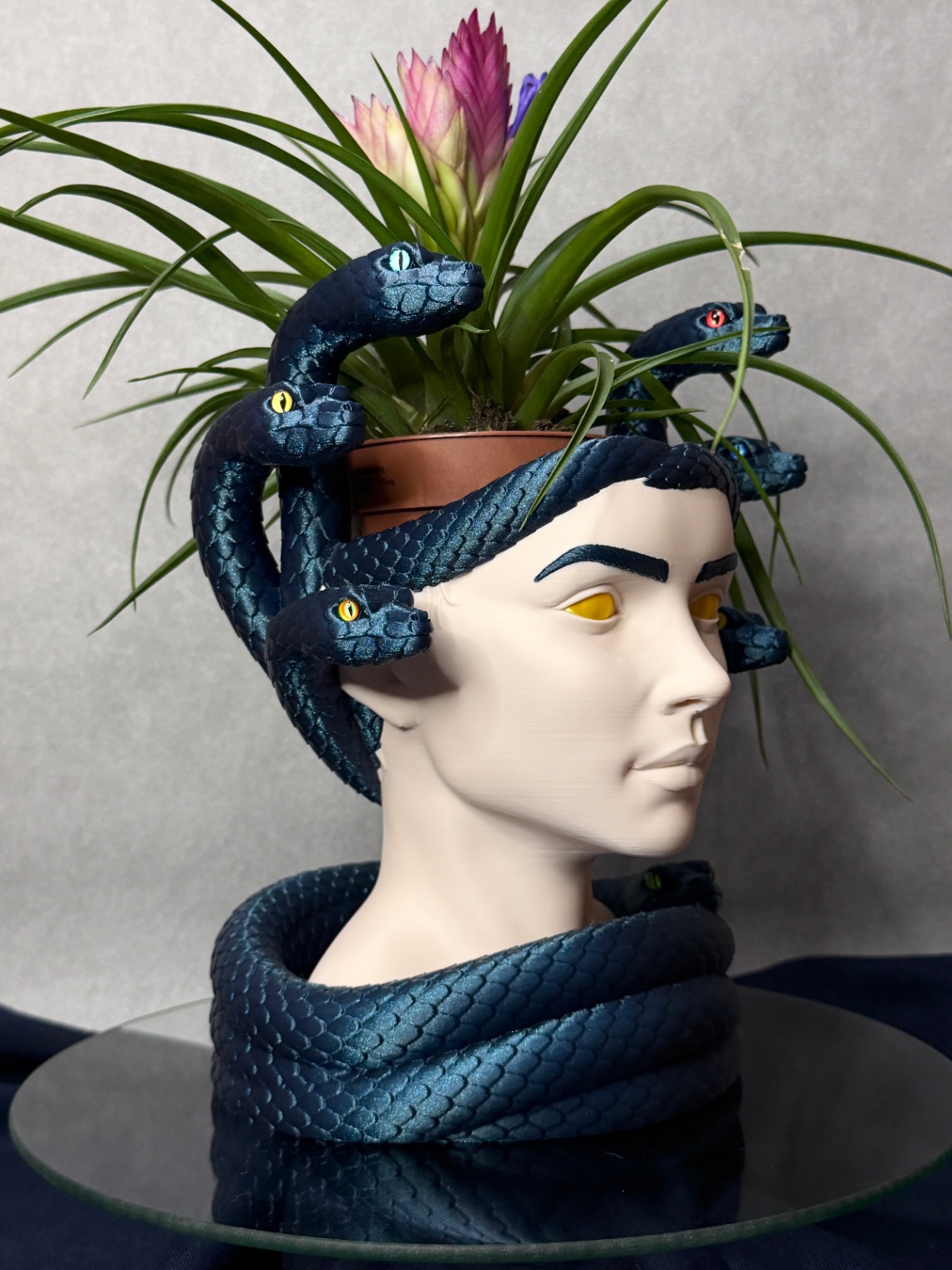 Vazonas „Medusa“ - 2