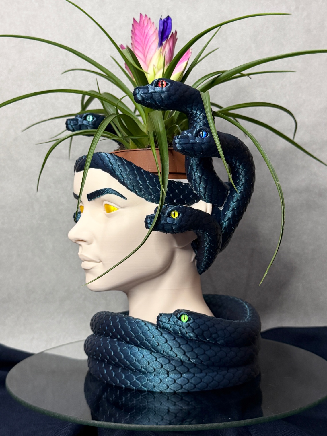 Vazonas „Medusa“ - 3