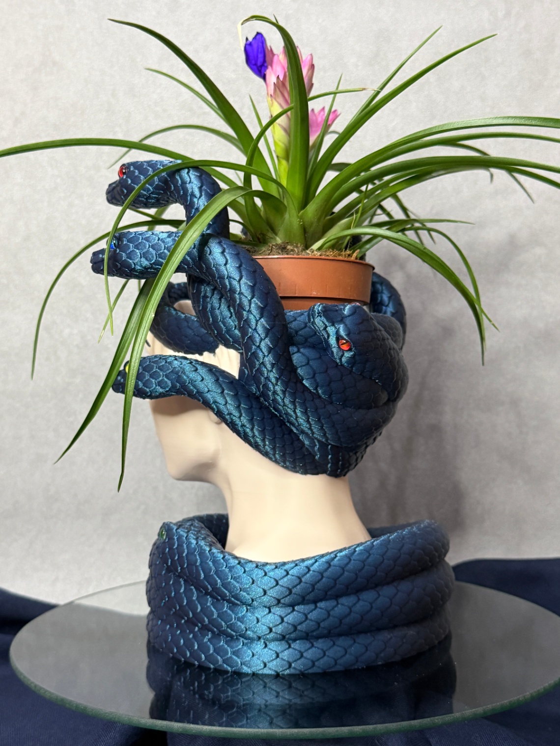 Vazonas „Medusa“ - 4