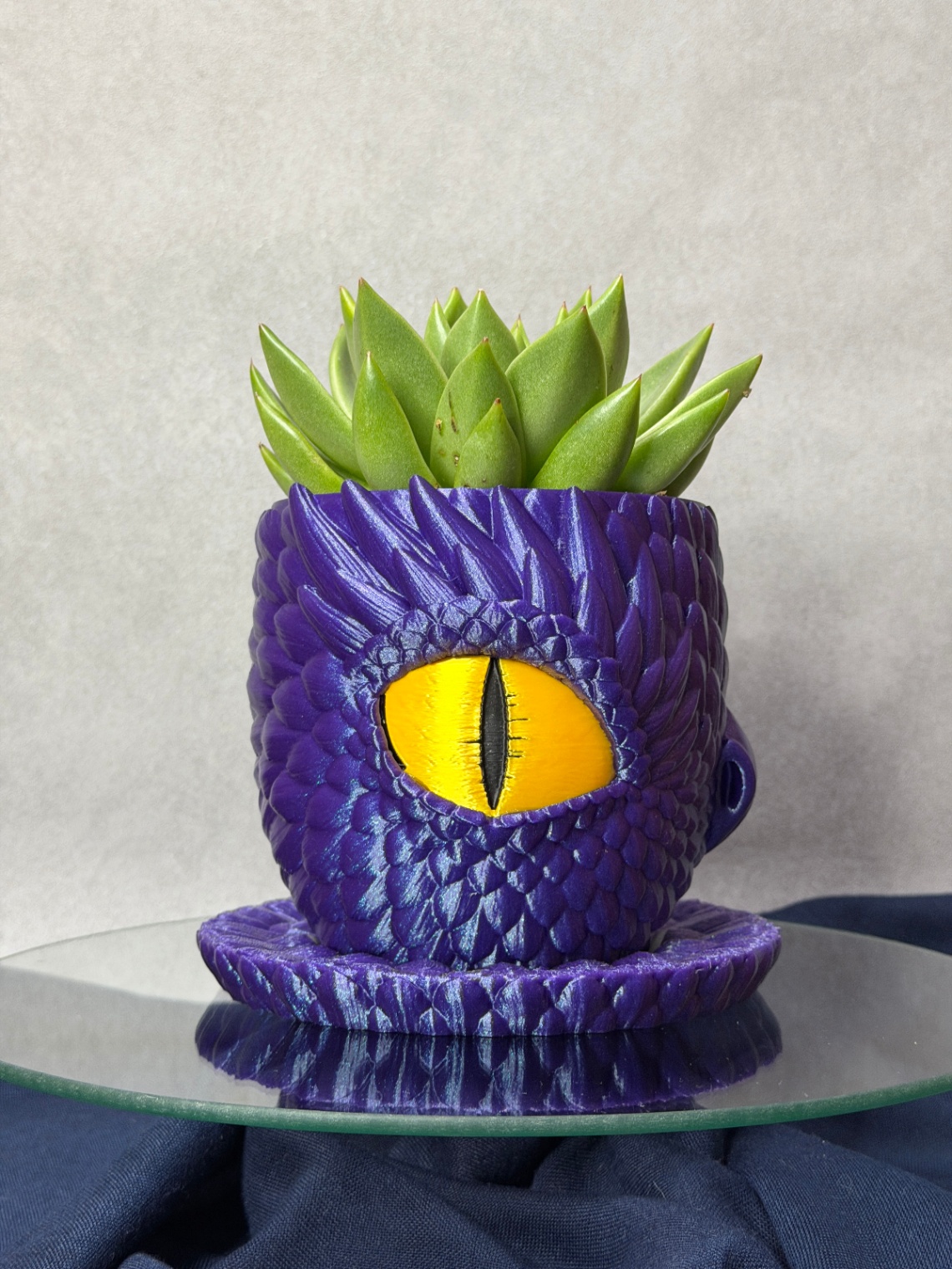 Vazonas „Crying Dragon“