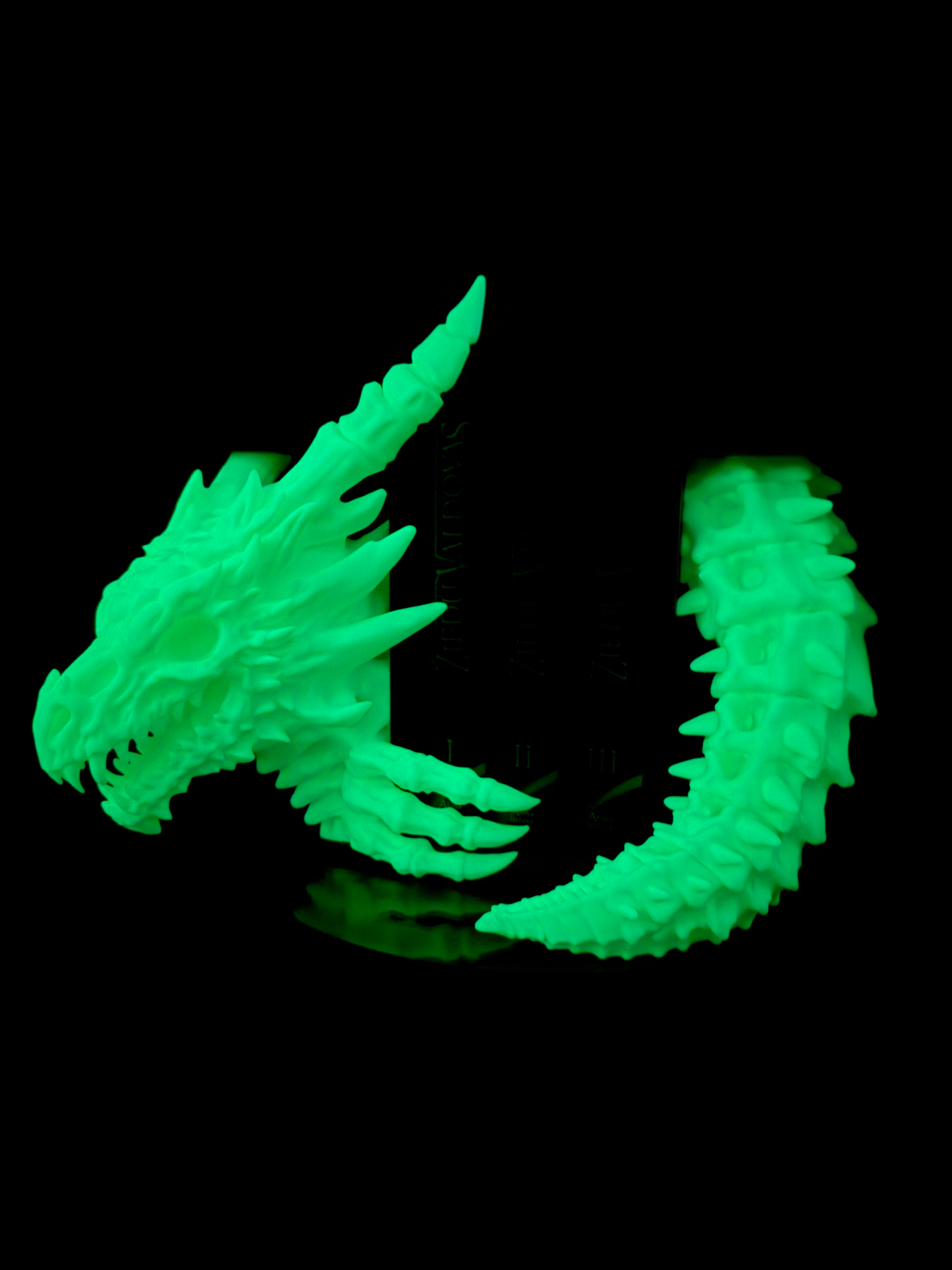 Švytintis tamsoje Book Nook „Bone Dragon Emerging“ (Head and Tail)