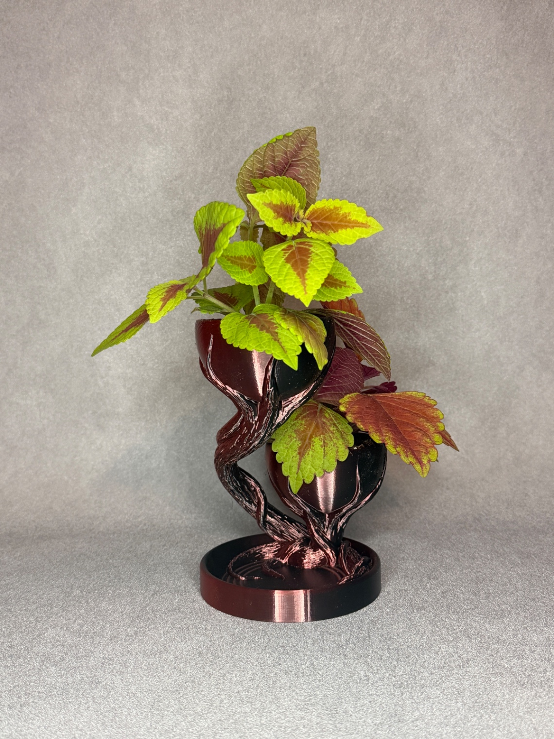 Vazonas „Double Tree Pot“ - 3