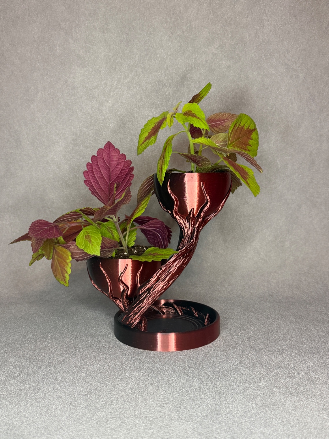 Vazonas „Double Tree Pot“ - 2