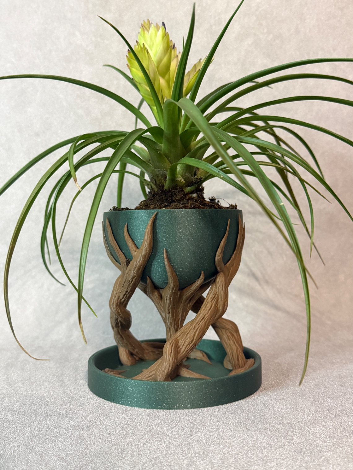 Padidinti nuotrauką Vazonas „Spiral Tree Pot“