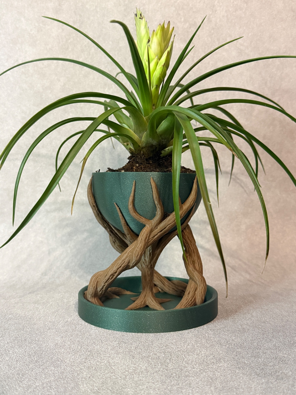Vazonas „Spiral Tree Pot“ - 2