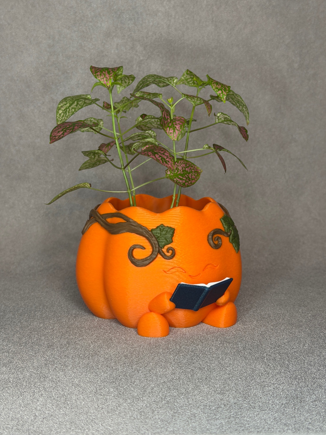 Padidinti nuotrauką Vazonas „Reading Pumpkin“