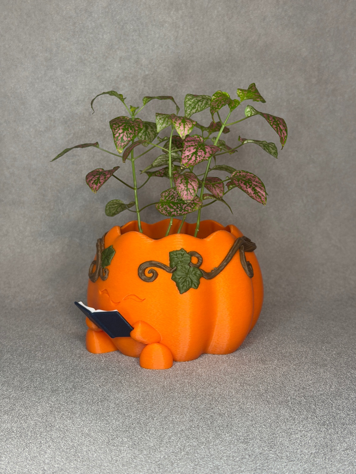 Vazonas „Reading Pumpkin“ - 2