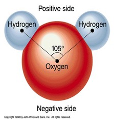 Biology - Cell Biology 1
