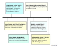 Cultural Competence