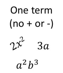 Algebra 1 Vocabulary EOC