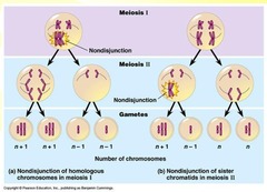 AP Biology Chapter 15