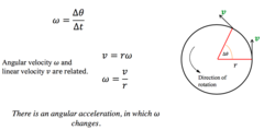 AP Physics 1 - Rotational Motion and Angular Momentum