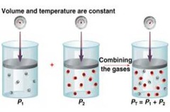 Graphs Review Pre and AP Chemistry