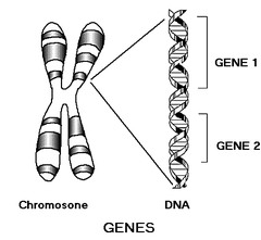 Biology