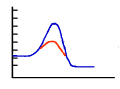 AP Biology - Enzymes