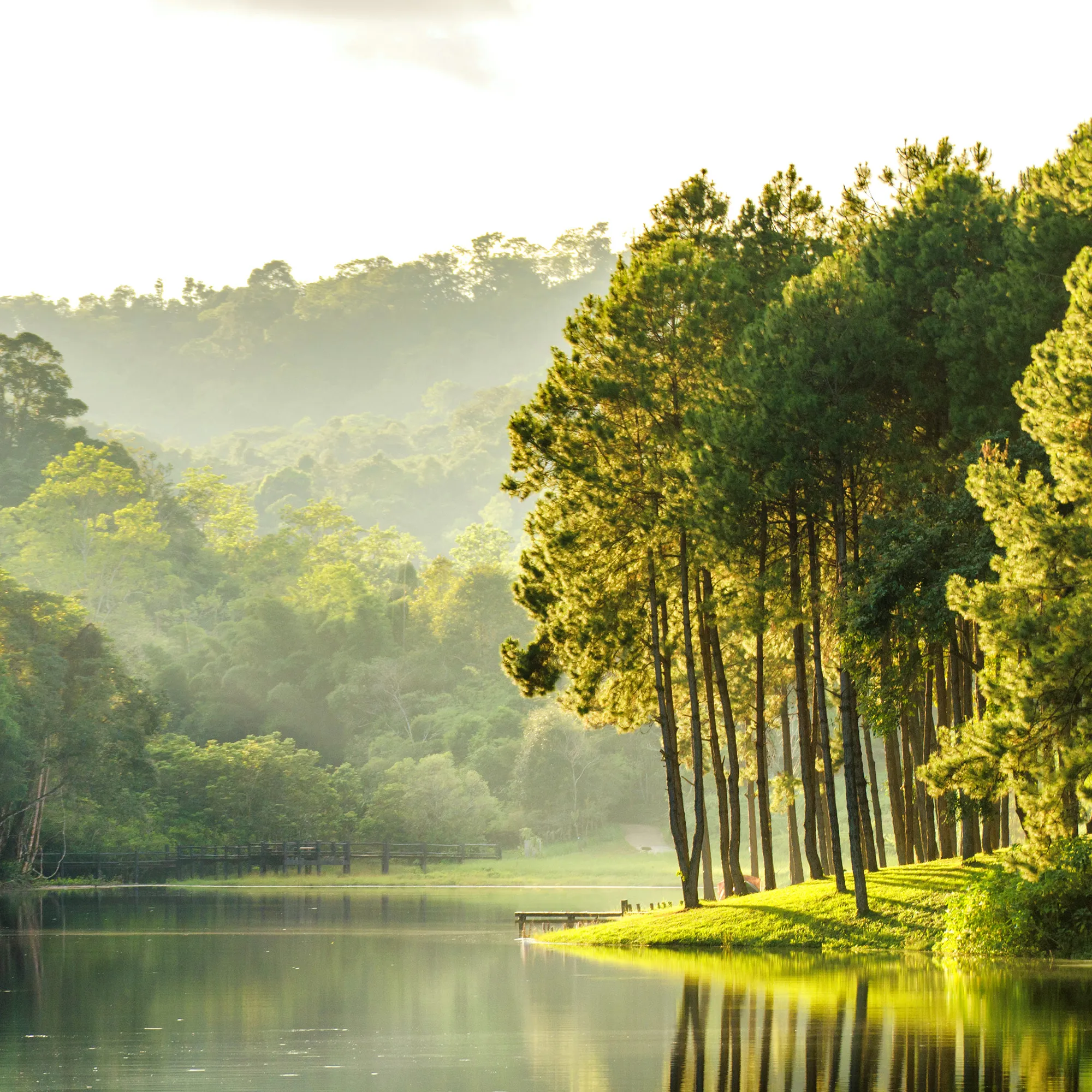 Les Richesses Naturelles