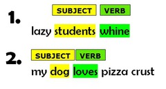 AP Language -Sentence Structure