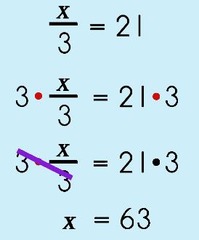 Algebra Unit 2 Vocabulary