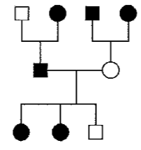 AP Biology [Practice AP Exam]