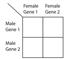 Lesson 77 Rules & definitions Shormann Algebra 1