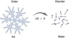 AP Chemistry ~ Thermodynamics